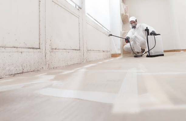 24/7 Emergency Attic Mold Removal experts in Parkhill, PA